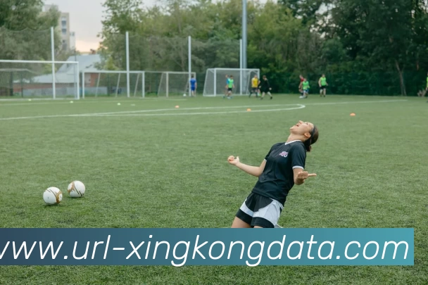 星空体育发展历程